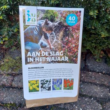 40 stuks bloembollen: narcis, crocus, blauw druifje, tulp beschikbaar voor biedingen