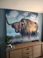 Groot (canvas)doek met Schotse Hooglander, Ophalen, Zo goed als nieuw