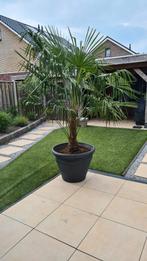 tuinvazen, Ophalen, Zo goed als nieuw