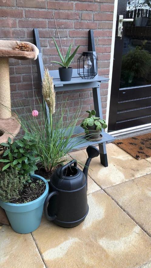 tuinversiering, Tuin en Terras, Tuinwanddecoratie, Nieuw, Ophalen of Verzenden