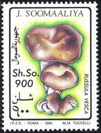 Weekend Aanbieding 31Okt en 01 en 02 nov. Somalië ( 09), Ophalen of Verzenden, Postfris, Dier of Natuur