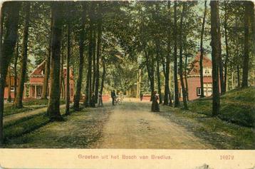 (300-417-051) Bussum Bosch van Bredius beschikbaar voor biedingen