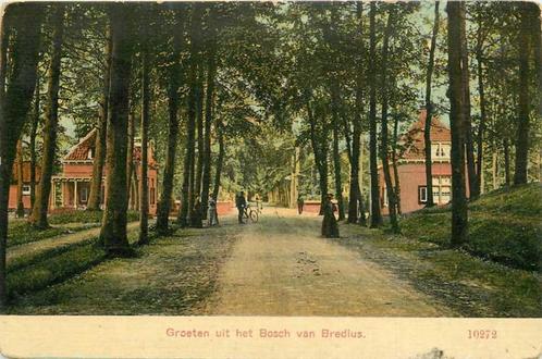 (300-417-051) Bussum Bosch van Bredius, Verzamelen, Ansichtkaarten | Nederland, Noord-Holland, Verzenden