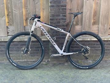 Cannondale Carbon 29 Lefty / XTR / Ritchey / * Full Carbon * beschikbaar voor biedingen