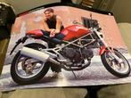 Nieuwe folder Ducati M600 Monster, Ophalen of Verzenden, Ducati