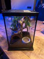 Terrarium., Dieren en Toebehoren, Ophalen, Zo goed als nieuw, Terrarium of Paludarium
