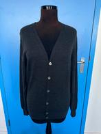 Alan Paine Cornwall 100% merino wool.  Cardigan, Kleding | Heren, Verzenden, Zo goed als nieuw, Maat 48/50 (M)