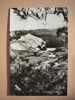 Ansichtkaart Groeten uit Schoorl, Ophalen of Verzenden, 1940 tot 1960, Noord-Holland