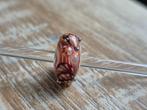 Trollbeads Uniek Kokkel CC, Glas of Kristal, Nieuw, Ophalen of Verzenden, Trollbeads
