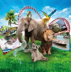 4 kaartjes voor een uitstapje naar keuze, Tickets en Kaartjes, Drie personen of meer, Ticket of Toegangskaart