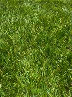 Kunstgras 35mm 3,2x2,3M !!!!, Tuin en Terras, Gras en Kunstgras, Ophalen, Nieuw, Minder dan 10 m², Kunstgras