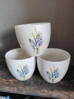 Het ter Steege blauwe druif, Ophalen, Overige stijlen