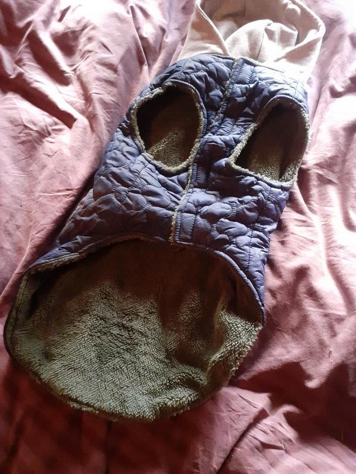 Honden jas, Dieren en Toebehoren, Hondenkleding, Nieuw, Hondenjas, Ophalen of Verzenden