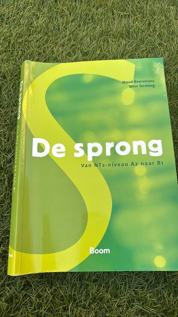 Maud Beersmans - De sprong, Boeken, Schoolboeken, Zo goed als nieuw, Nederlands, Overige niveaus, Ophalen of Verzenden