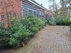 Kerstbomen te koop, Tuin en Terras, Planten | Bomen, Ophalen, Volle zon, Overige soorten