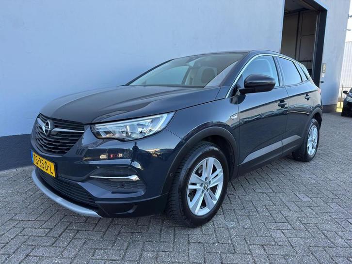 Opel Grandland X 1.2 Turbo Business Executive, Auto's, Opel, Bedrijf, Te koop, Grandland X, ABS, Airbags, Airconditioning, Bluetooth