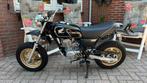 Honda APE 50 - NIEUW - Collecters item - Z50 MONKEY ZB50 DAX, Fietsen en Brommers, Brommers | Honda, Ophalen, Nieuw, Overige modellen