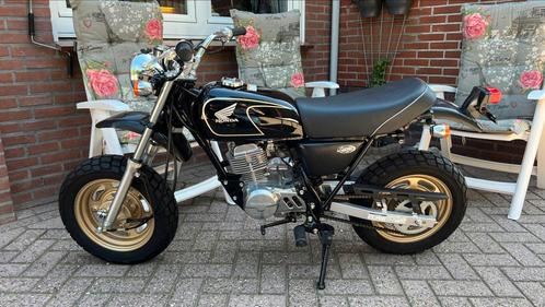 Honda APE 50 - NIEUW - Collecters item - Z50 MONKEY ZB50 DAX, Fietsen en Brommers, Brommers | Honda, Nieuw, Overige modellen, Ophalen