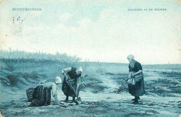 (300-251-045) Scheveningen Nalezen in de Duinen beschikbaar voor biedingen