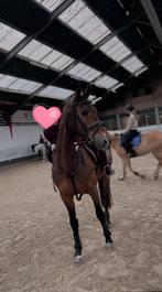 Betrouwbare verzorger aangeboden, Ophalen, Zo goed als nieuw