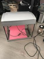 Aquarium inclusief toebehoren, Dieren en Toebehoren, Vissen | Aquaria en Toebehoren, Ophalen, Zo goed als nieuw, Leeg aquarium
