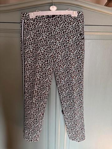 &Co Woman mooie leopard pantalon met bies mt 36 NIEUW beschikbaar voor biedingen
