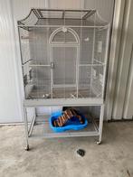 Vogel kooi, Dieren en Toebehoren, Vogels | Hokken en Kooien, Ophalen, Zo goed als nieuw, Metaal, Vogelkooi