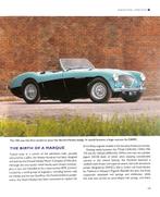 Austin-Healy Sprite - The Complete Story, Verzenden, Nieuw, Malcolm Thorne, Overige merken