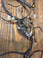 Derbi Gpr Racing Kabelboom vanaf 2009, Frame, Gebruikt, Derbi, Derbi