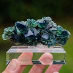 fluoriet uit pocket 42 #13, Verzamelen, Mineralen en Fossielen, Ophalen of Verzenden, Mineraal