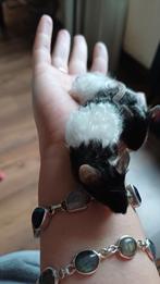 Texel kleurmuisjes, Dieren en Toebehoren, Knaagdieren, Muis, Vrouwelijk, Tam, Oktober