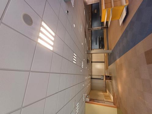 Systeemplafond platen gratis, Doe-het-zelf en Verbouw, Overige Doe-het-zelf en Verbouw, Gebruikt, Ophalen