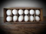 Eieren wit leeg geblazen 12 stuks - pasen - voorjaar - ei, Ophalen of Verzenden, Nieuw