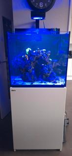 Red sea Max E-170 zeeaquarium, Dieren en Toebehoren, Vissen | Aquaria en Toebehoren, Ophalen, Zo goed als nieuw, Leeg aquarium