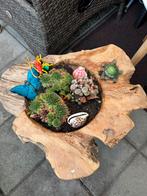 Mooie hout schaal gesneden met vet plantjes, Ophalen of Verzenden, Rond, Hout, Minder dan 30 cm