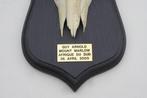 2 x schedel MOUNTAIN REEDBUCK op zwart houten schild (gewei), Wild dier, Gebruikt, Ophalen of Verzenden, Schedel