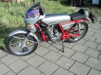 HONDA MOTO SKYTEAM 125 CC DREAM REPLICA, 125 cc, 1 cilinder, Sport, Particulier