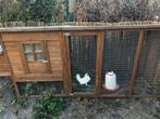 Kippenhok incl 3 kriel kippen en toebehoren, Dieren en Toebehoren, Ophalen, Zo goed als nieuw, Kippenhok of Kippenren