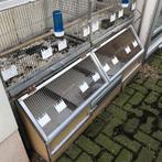 Te koop knaagdieren kooi, Ophalen of Verzenden, 90 cm of meer, Hok, Info@birdtrade.nl