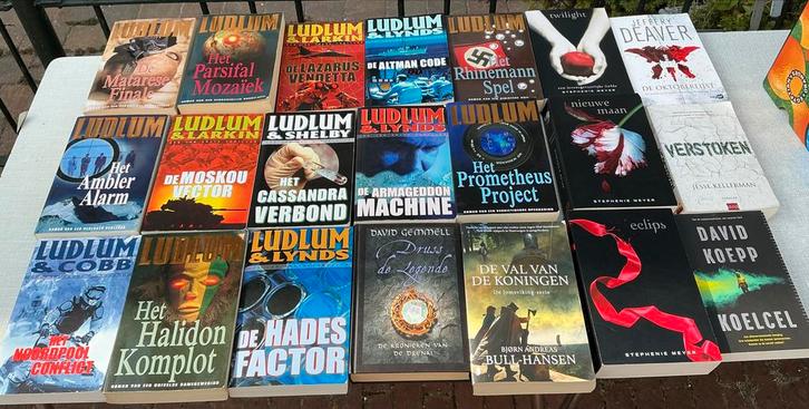 Groot Thriller Pakket: Ludlum, Deaver, Meyer, etc, Boeken, Romans, Gelezen, Nederland, Ophalen of Verzenden