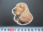 sticker Hond Hondenkop Engelse Cocker Spaniël Bruin *, Ophalen, Zo goed als nieuw