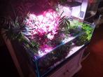 Week aqua wrgb full spectrum led verlichting, Dieren en Toebehoren, Vissen | Aquaria en Toebehoren, Ophalen of Verzenden, Zo goed als nieuw