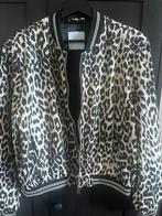 Rino en pelle leopard jasje maat 40., Kleding | Dames, Jasjes, Kostuums en Pakken, Overige kleuren, Nieuw, Ophalen of Verzenden