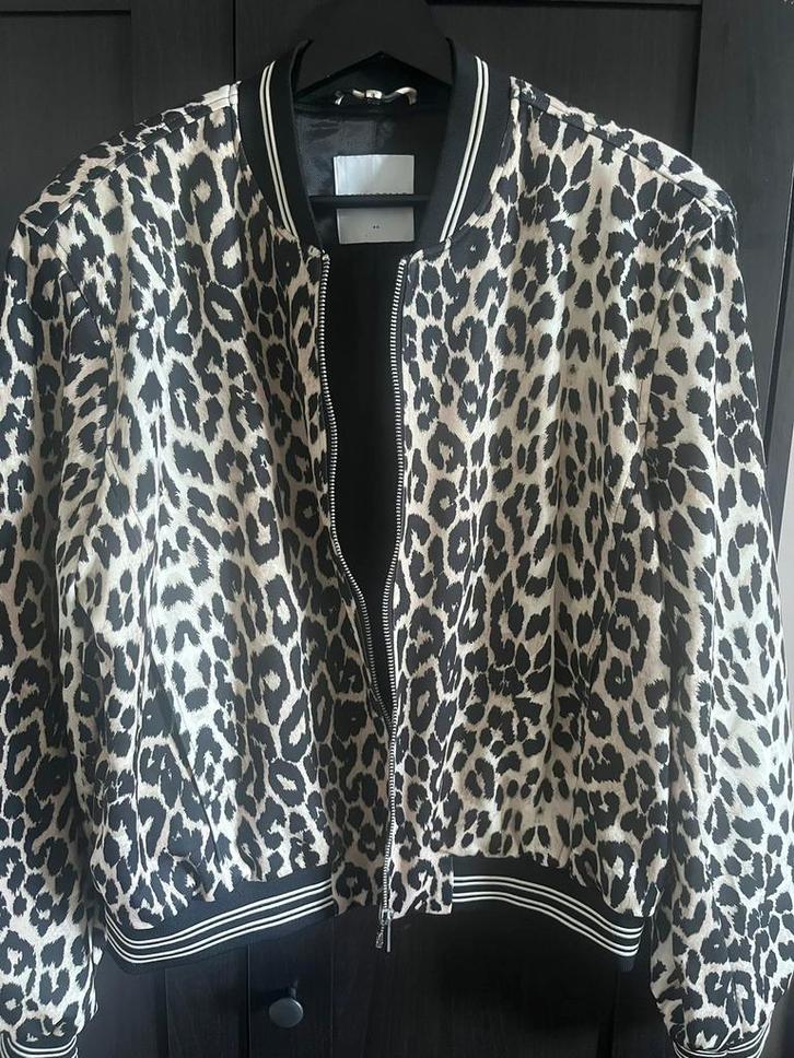 Rino en pelle leopard jasje maat 40., Kleding | Dames, Jasjes, Kostuums en Pakken, Nieuw, Jasje, Overige kleuren, Ophalen of Verzenden
