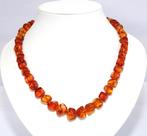 Prachtige 9-KT Gouden Baltische Barnsteen Ketting, Verzenden, Goud, Ketting, Met edelsteen