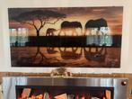 Plexiglas schilderij met olifanten familie 150x80cm, Ophalen