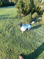 Hondenuitlaatservice in Emmeloord, Uitlaatservice