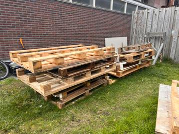 Pallets gratis af te halen! beschikbaar voor biedingen