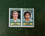 Panini plaatje Schneider - Loupatty FC Wageningen voetbal 84, Verzamelen, Sportartikelen en Voetbal, Ophalen of Verzenden