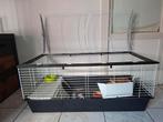 Groot konijnhok binnen, Dieren en Toebehoren, Ophalen, Kooi, 60 tot 90 cm, Cavia